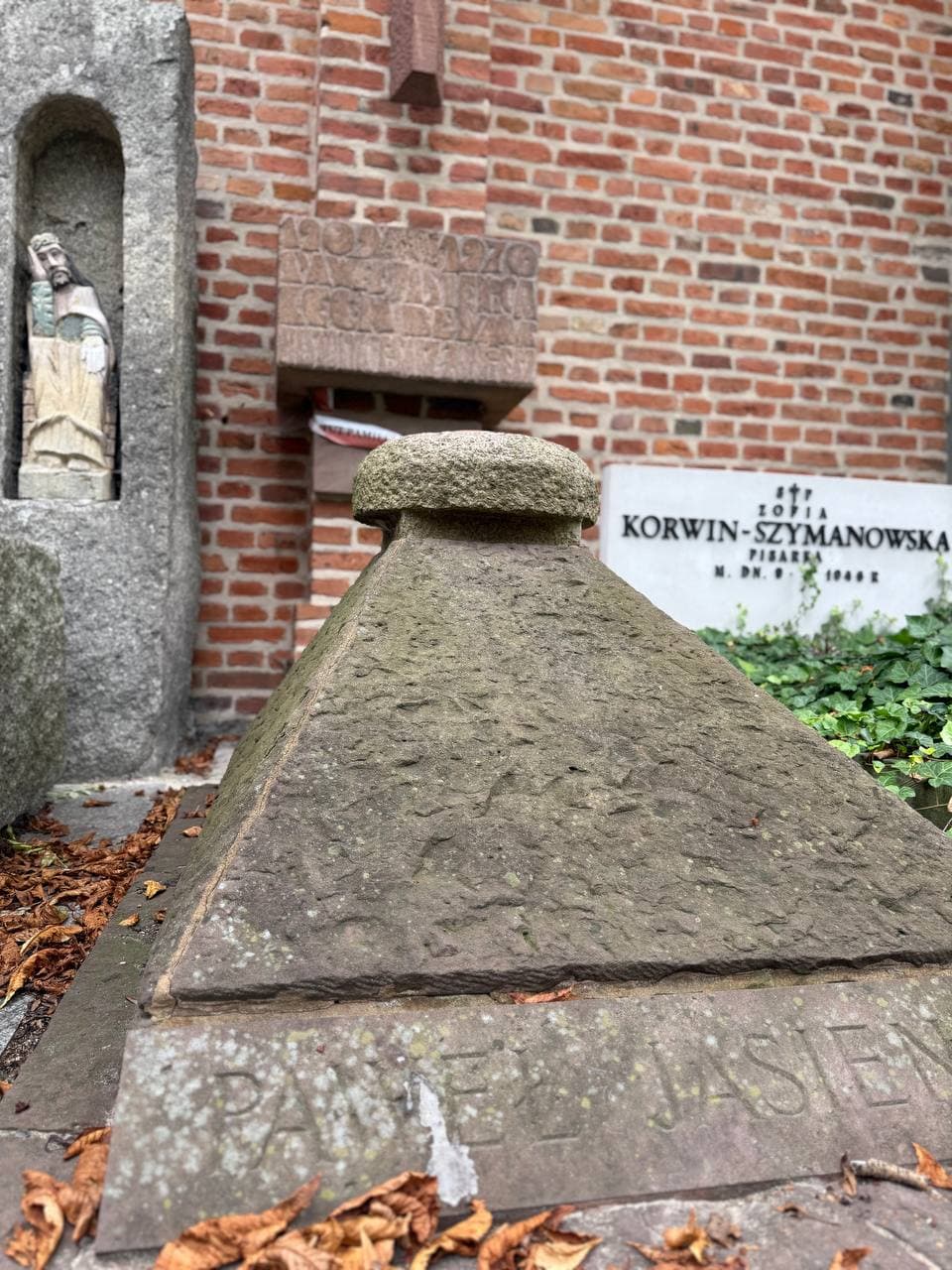 Zdjęcie grobu Zofia Nena Beynar (1)
