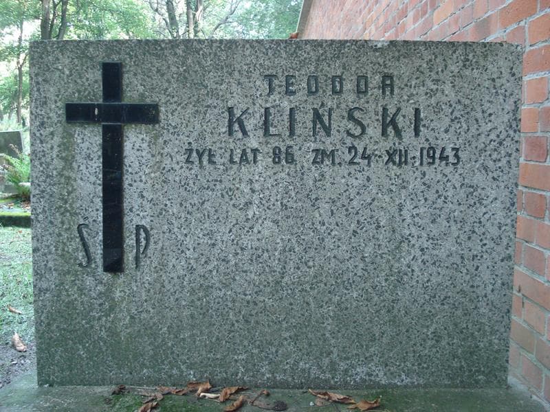 Zdjęcie grobu Teodor Kliński (2)