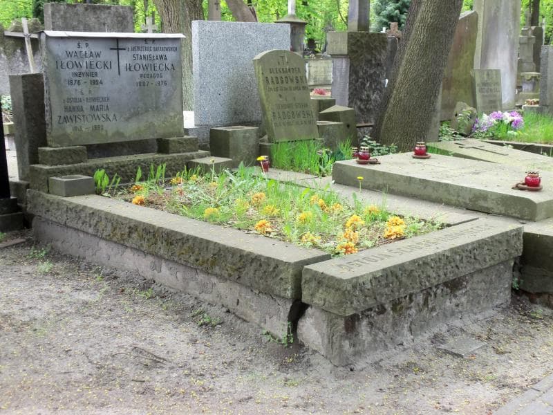 Zdjęcie grobu Wacław Iłowiecki (1)