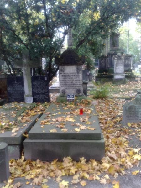 Zdjęcie grobu: Anna Domańska