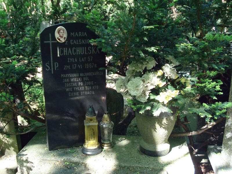 Zdjęcie grobu Stanisław Calski (1)