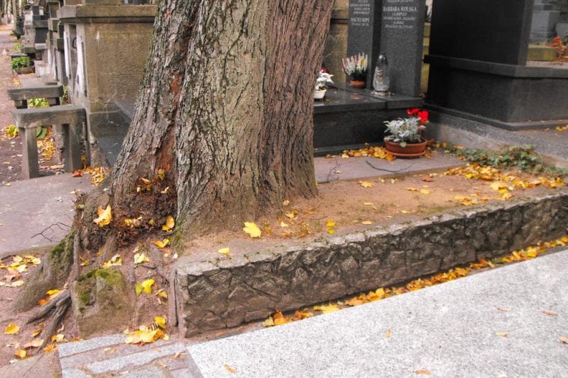 Zdjęcie grobu Pole Grobowe (1)