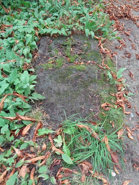 Zdjęcie grobu Michał Adamski (1)