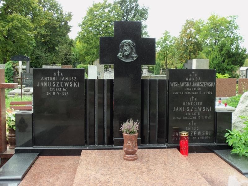 Zdjęcie grobu Antoś Januszewski (2)