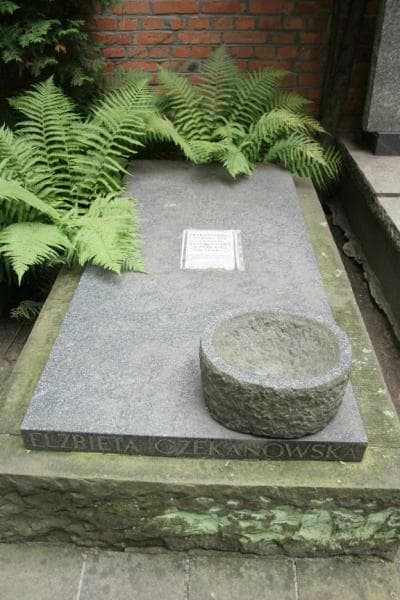 Zdjęcie grobu Jan Czekanowski (4)