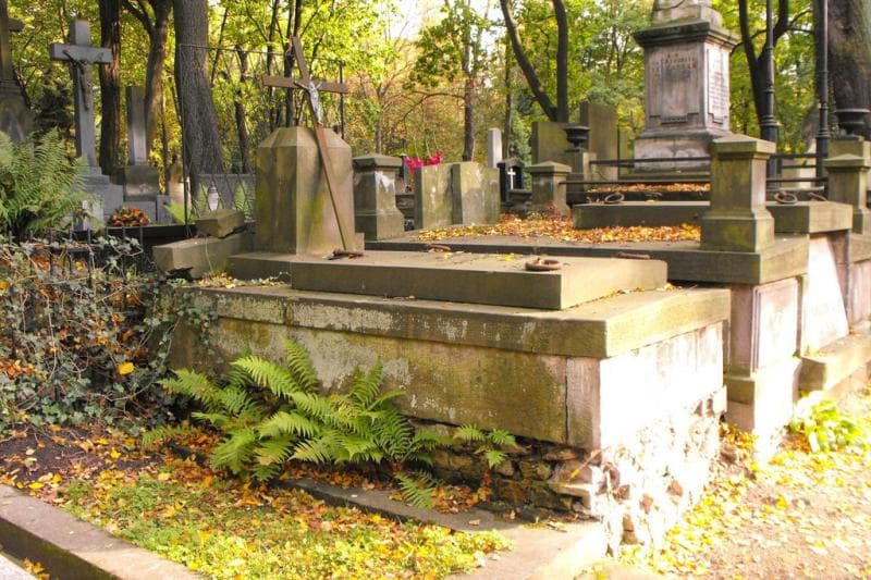 Zdjęcie grobu Boguccy (1)