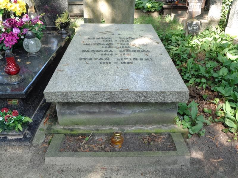 Zdjęcie grobu: Henryk Lipiński