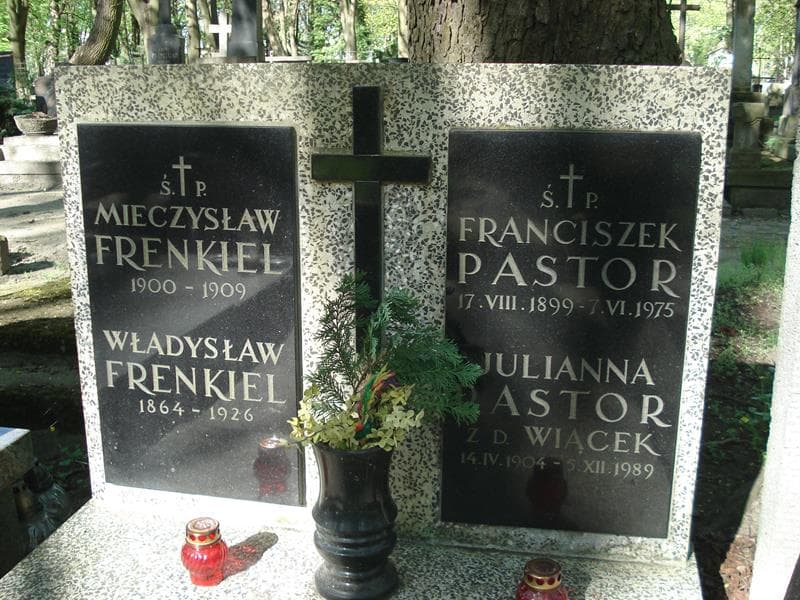 Zdjęcie grobu Władysław Frenkiel (1)