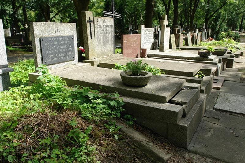 Zdjęcie grobu: Ludmiła Krajewska