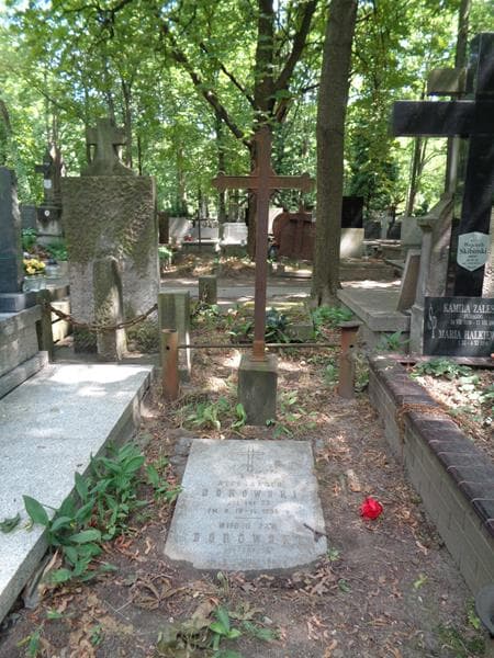 Zdjęcie grobu Aleksander Borowski (1)