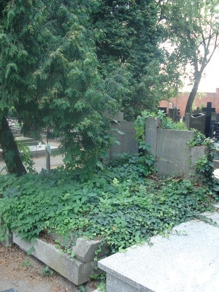 Zdjęcie grobu Halina Lenkiewicz (1)