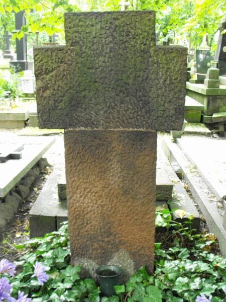 Zdjęcie grobu Aniela Dmowska (1)