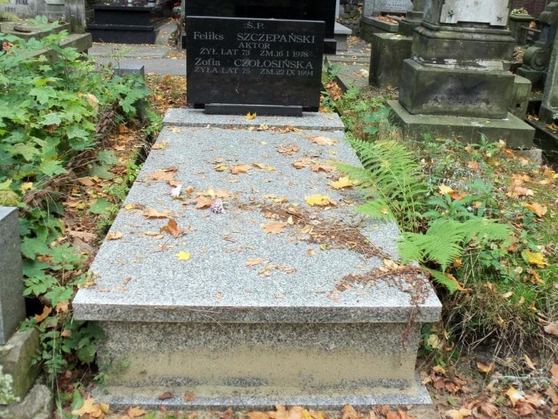 Zdjęcie grobu: Zofia Czołosińska