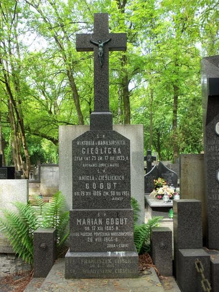 Zdjęcie grobu Władysław Cieślicki (2)