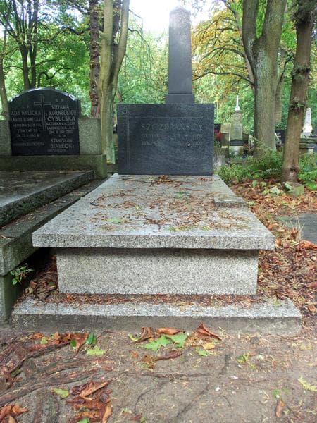Zdjęcie grobu: Gustaw Szczepański