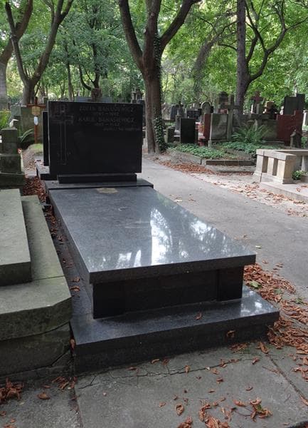 Zdjęcie grobu: Karol Banasiewicz