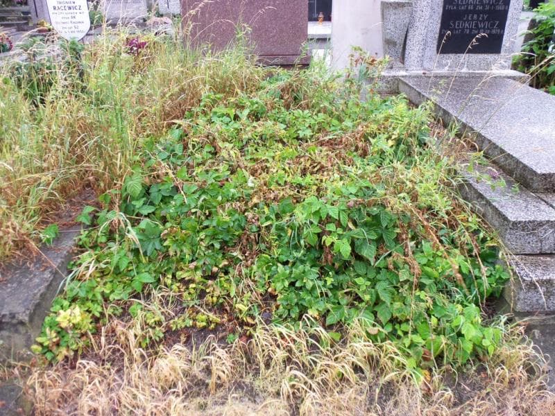 Zdjęcie grobu: Pole Grobowe