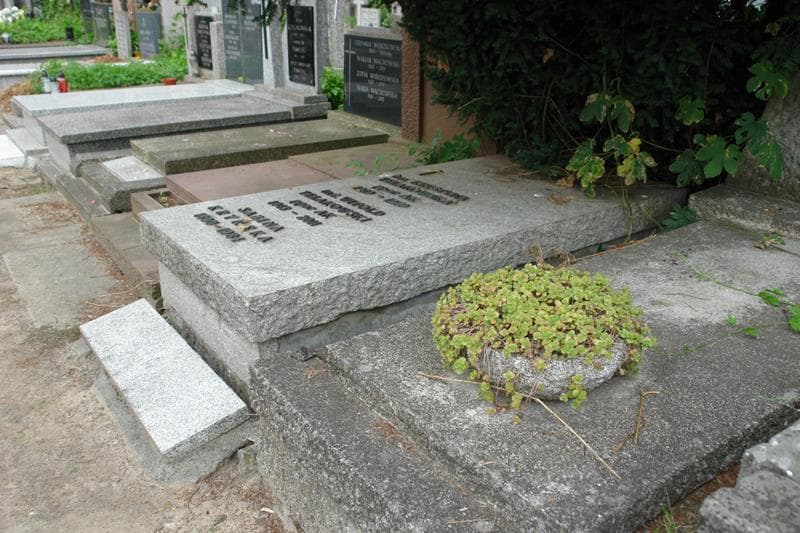 Zdjęcie grobu Witold Telakowski (2)