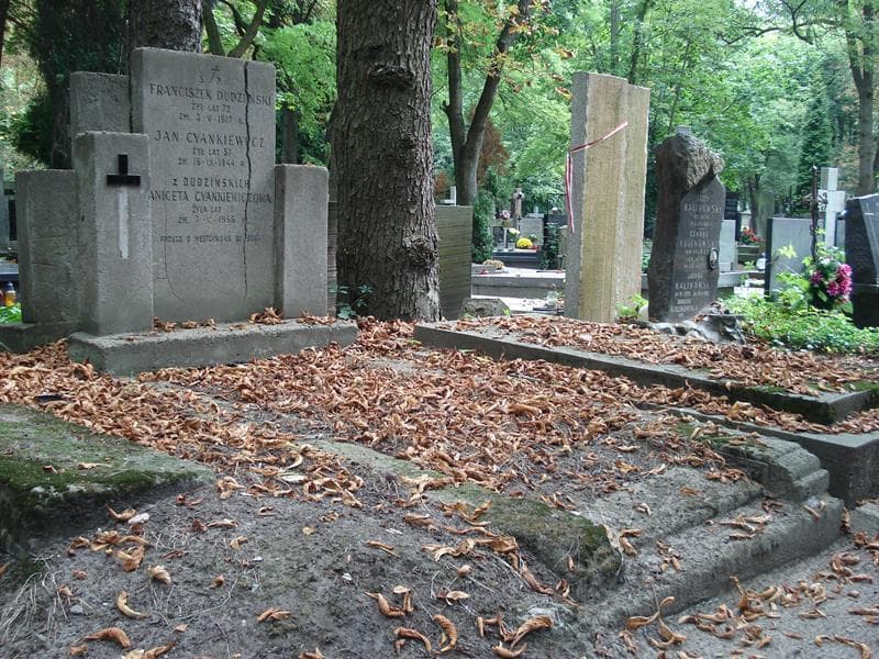 Zdjęcie grobu Aniceta Cyankiewiczowa (1)
