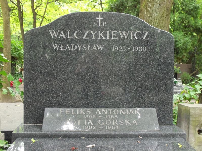 Zdjęcie grobu Władysław Walczykiewicz (2)