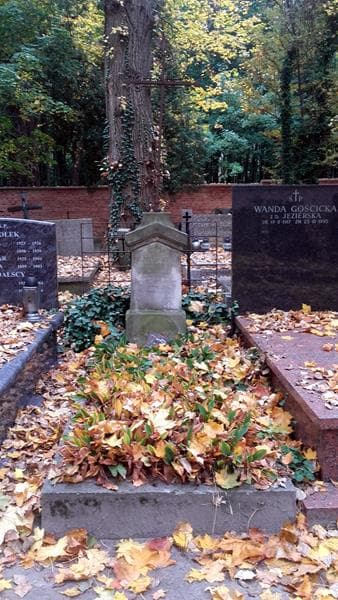 Zdjęcie grobu Henryk Jabłonowski (1)