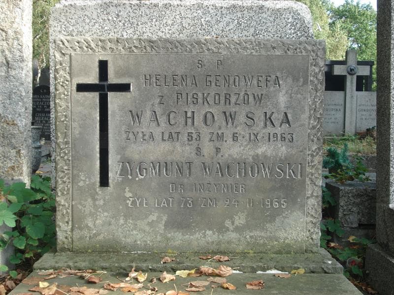Zdjęcie grobu Zygmunt Wachowski (2)