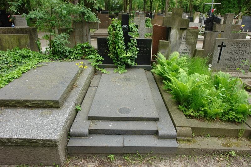 Zdjęcie grobu Janina Dragan (1)