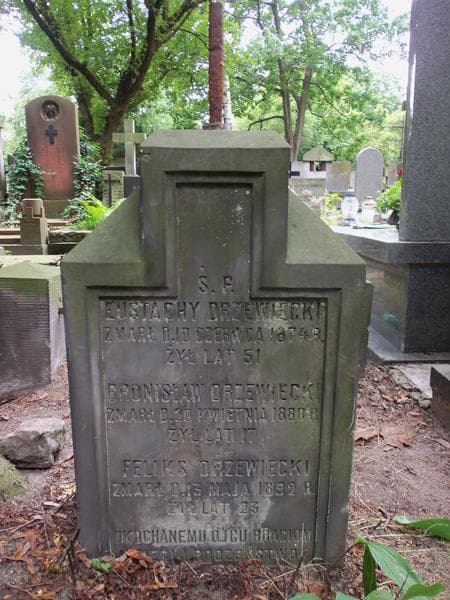 Zdjęcie grobu Bronisław Drzewiecki (2)