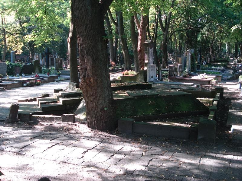 Zdjęcie grobu Janina Horodyska (2)
