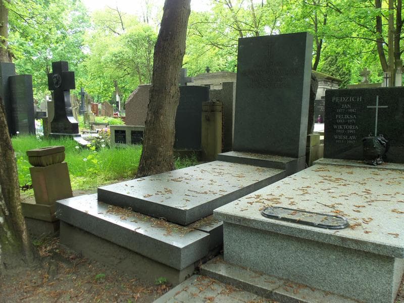 Zdjęcie grobu Marcin Feliks Habdank Czarkowski (1)