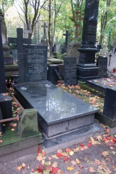 Zdjęcie grobu Franciszek Krajewski (1)