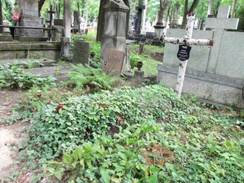 Zdjęcie grobu Stefan Domański (1)