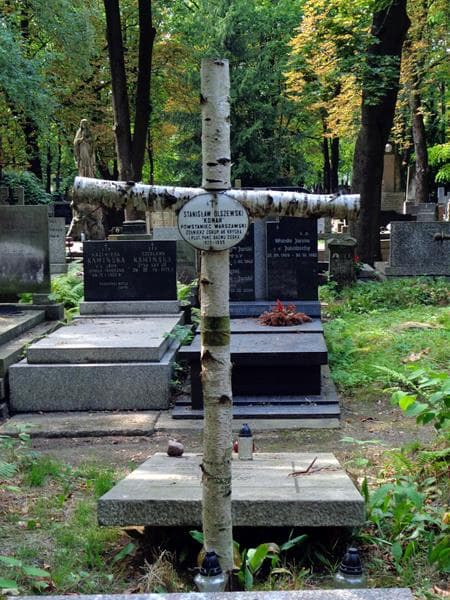 Zdjęcie grobu Stanisław Olszewski (1)