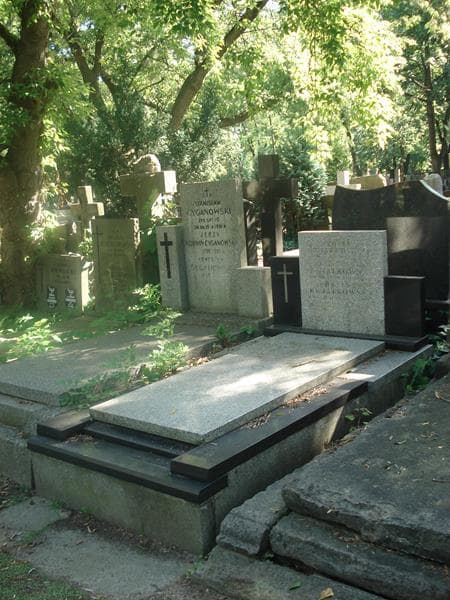 Zdjęcie grobu Zofia Kwiatkowska (1)