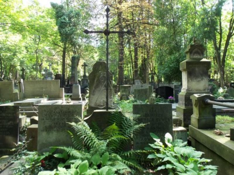 Zdjęcie grobu Elżbieta Bielecka (2)