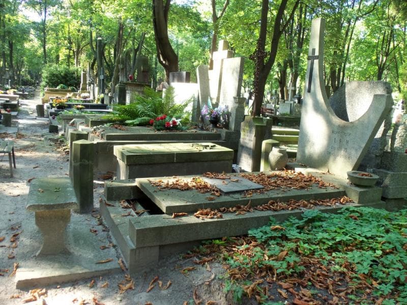Zdjęcie grobu Władysław Lin (1)