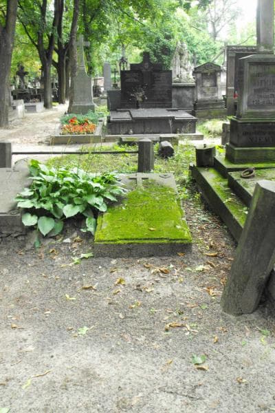 Zdjęcie grobu: Tekla Budzyńska