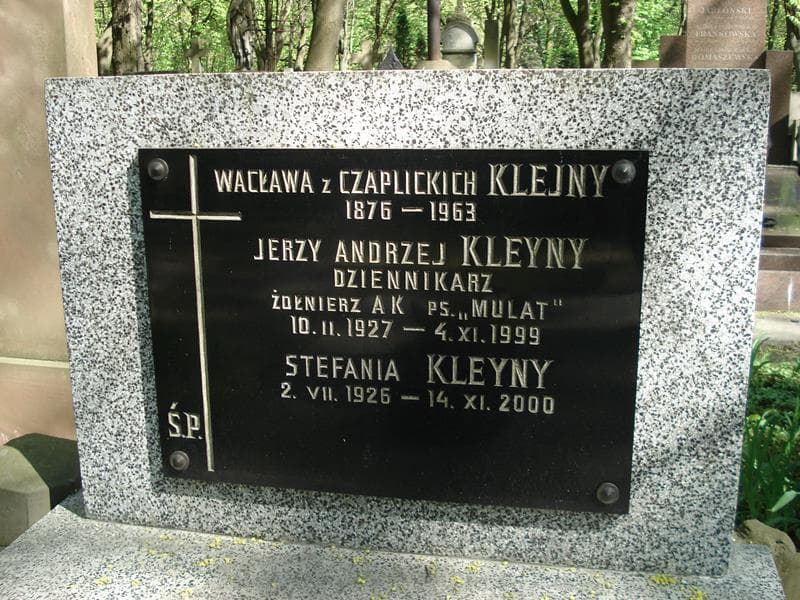 Zdjęcie grobu Stefania Kleyny (1)