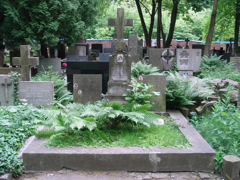 Zdjęcie grobu Józefa Zofia Drużyńska (1)