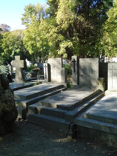 Zdjęcie grobu Julianna Żółtowska (1)