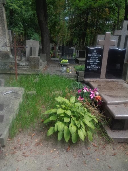 Zdjęcie grobu: Pole Grobowe