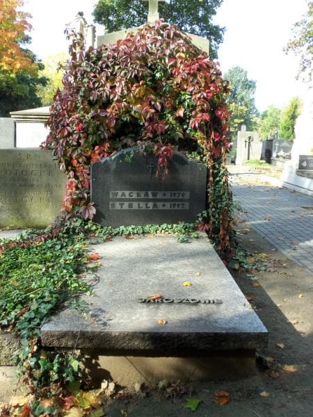 Zdjęcie grobu: Wacław Jarosz