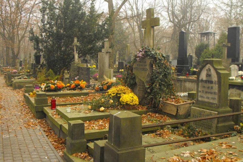 Zdjęcie grobu Lee Lola Wołyńska (1)