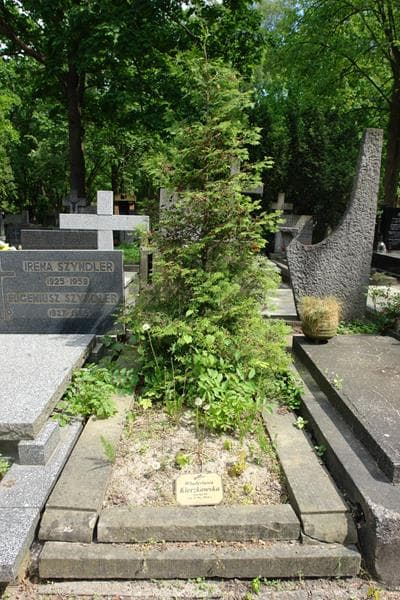 Zdjęcie grobu Tadeusz Jaszczewski (1)