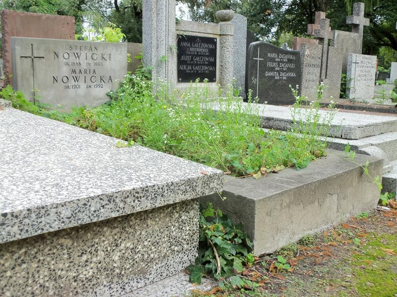 Zdjęcie grobu Maria Nowicka (1)