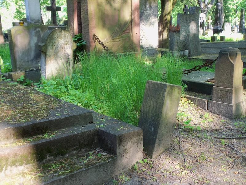 Zdjęcie grobu Tekla Chojecka (1)