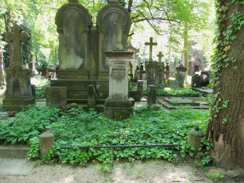 Zdjęcie grobu: Leon Taychert