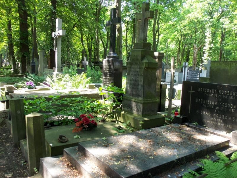 Zdjęcie grobu Teresa Domaszowska (1)
