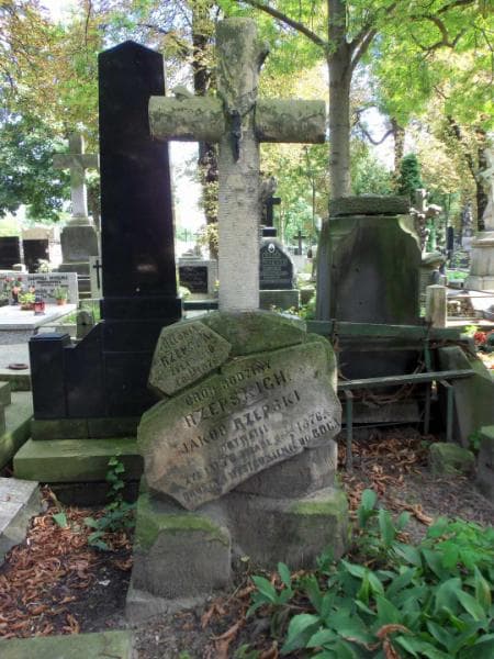 Zdjęcie grobu Stanisław Rzepski (2)