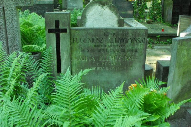 Zdjęcie grobu Zofia Klemczyńska (1)